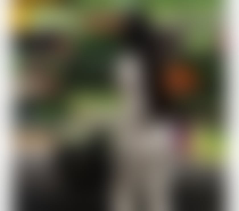 Escorts South West London Richmond upon Thames - Photos for hot nicole 🔥🔥call me now 🔥 ✅ best service💯