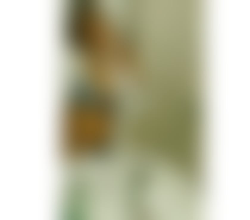 Escorts North London North Finchley - North London - Photos for Amanda ❤️‍🔥🇧🇷🍾 Best time❗️No rush 🔝