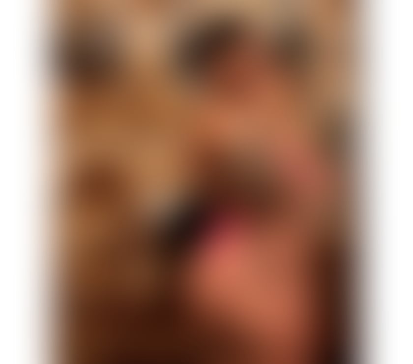 ANGEL 🌸 NEW IN CITY 💦BEST BJ💦 PARTY🥳