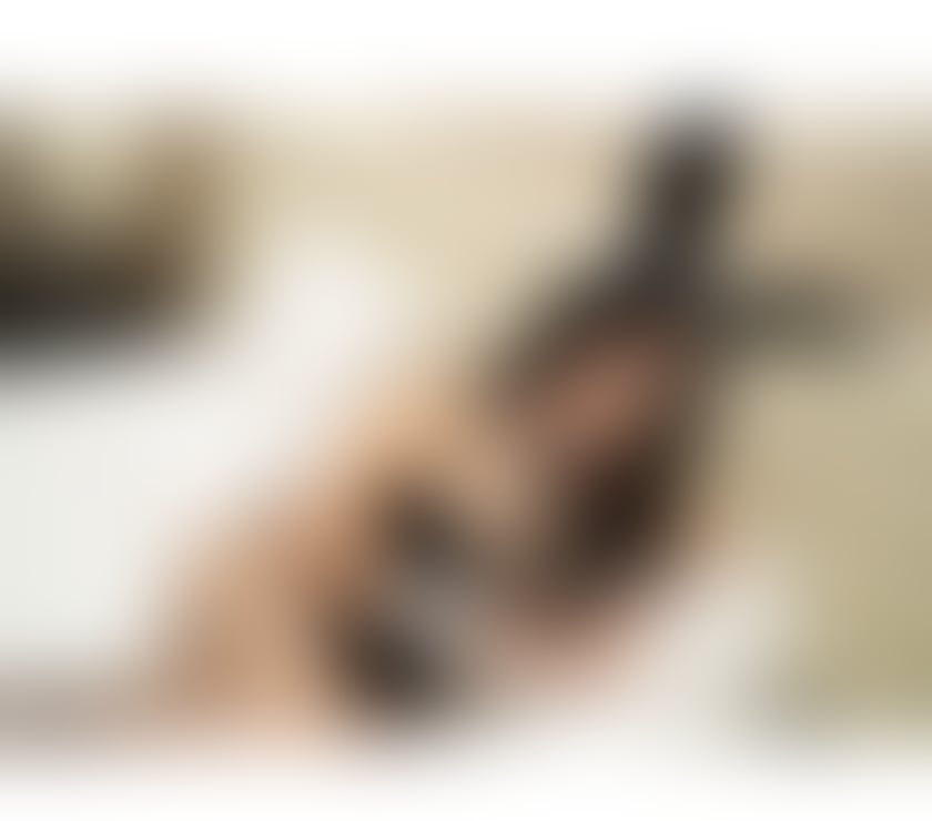 Escorts Hertfordshire Welwyn Hatfield - Photos for Sexy Thai❤️NEW in🌟here to serve you⭐️