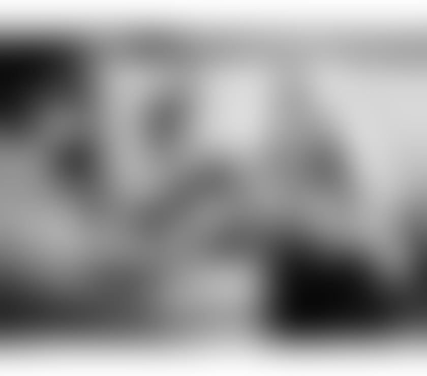 ✨Luna Charming Companion✨