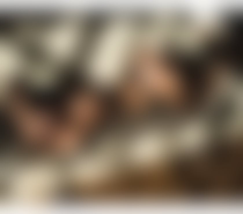 Escorts West Midlands Coventry - Photos for ✨Luna Charming Companion✨