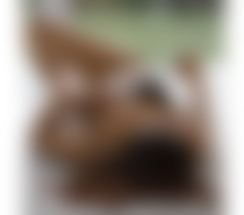 Escorts Dentons Green Saint Helens - Photos for Stunning Asian Girl Massage Naughty Thai
