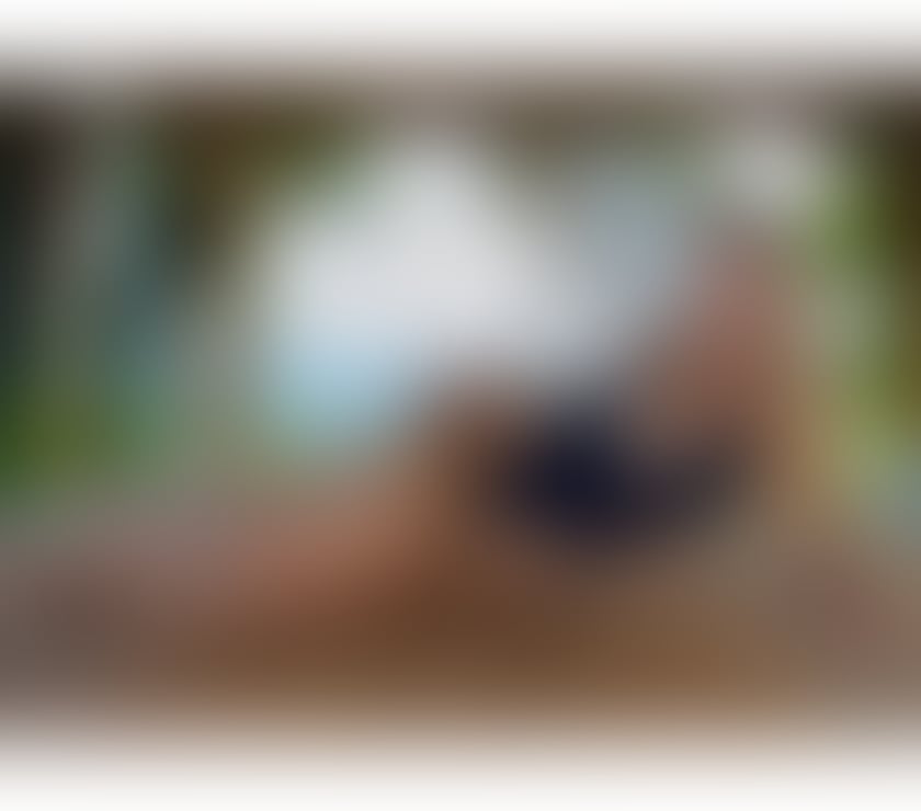 Trans Escorts Kent Medway - Kent - Photos for 🔥Nikole Paris Hot TRANSEXUAL in town🔥