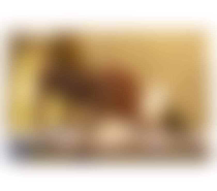 Escorts Cardiff Cardiff City Centre - Cardiff - Photos for TUANE 🇧🇷NEW IN TOWN 🥂REAL PIC 💯