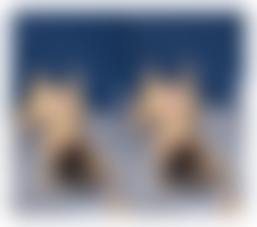 Escorts Dundee Dundee City Centre - Dundee - Photos for 🖤 SARAH 🖤 NEW IN TOWN 🖤 100% REAL PARTY GIRL