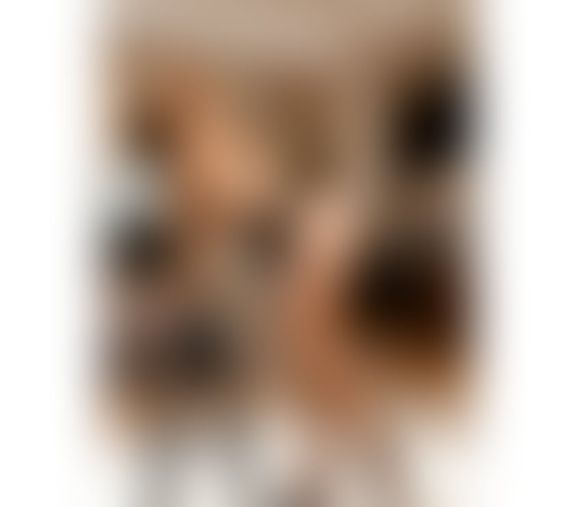 Escorts Belfast Malone - Belfast - Photos for Chanell Brasileira