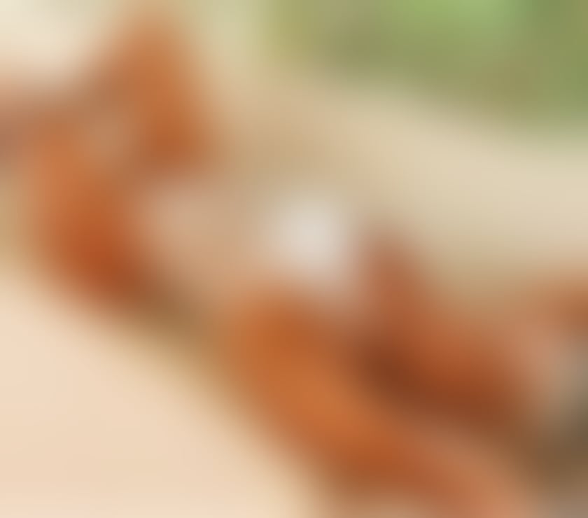 Escorts Belfast Malone - Belfast - Photos for Chanell Brasileira