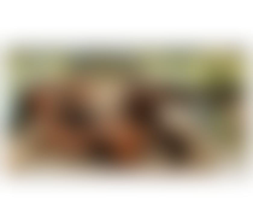 Escorts Canary Wharf East London - Photos for New Escort✅ TEXT ME ON WhatsApp