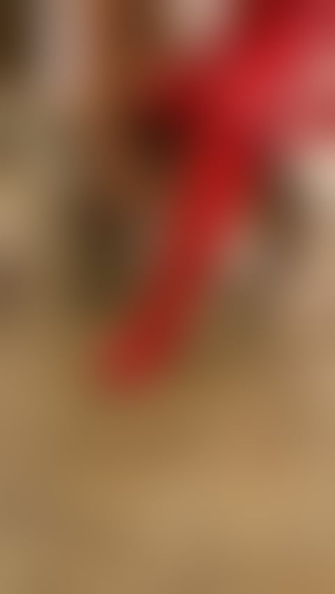 Trans Escorts Bristol Bristol City Centre - Bristol - 