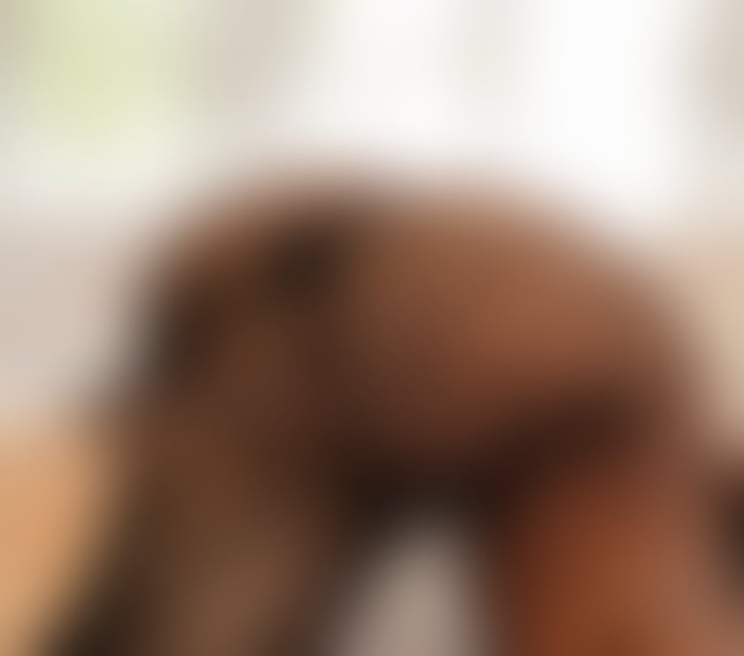 Escorts Hampshire Basingstoke and Deane - Photos for VIP EXPERIENCE💎LUXURY AND DISCREET💎JESSICA PARTY GIRL