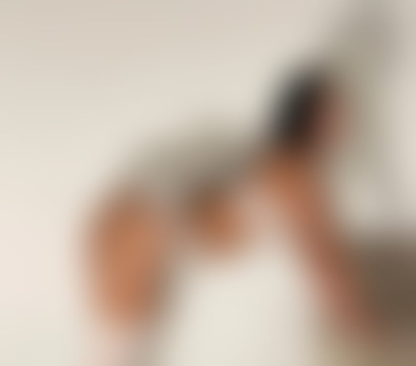 Escorts North London Finchley - North London - Photos for Maria -hot and slim