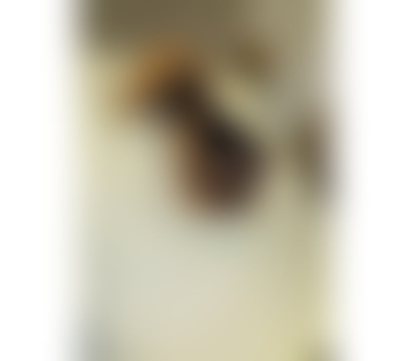 Escorts East London Limehouse - East London - Photos for REAL PHOTOS 📸 BEST SERVICE ❤️💋