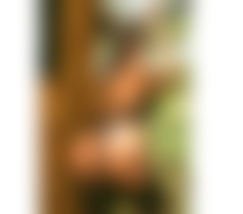 Escorts Shropshire Shrewsbury - Shropshire - Photos for KAROL LATINA 📱07376559750 📱