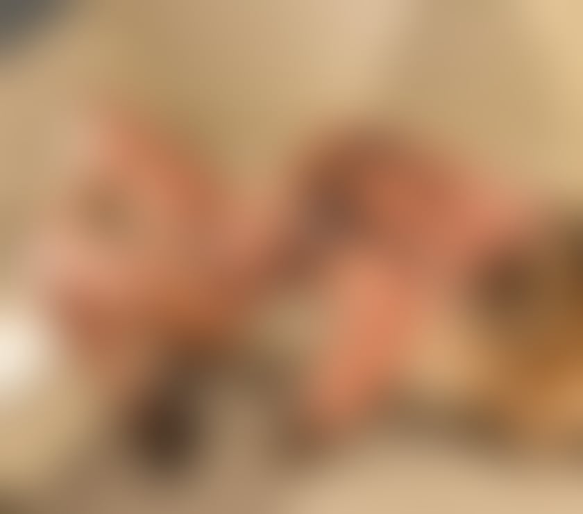 Photos for Hello I am raisa now girl in town