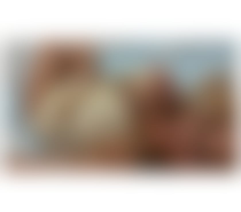 Escorts West Midlands Walsall - Photos for ❤️‍🔥Camila ❤️‍🔥New here 🤗