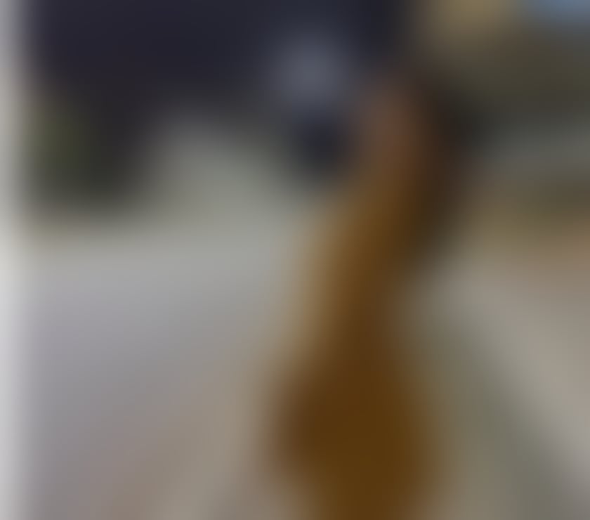 Escorts West Midlands Sandwell - Photos for Mera New Party Girl 🎉🥳 New Today