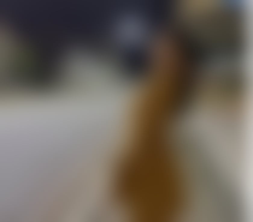 Escorts West Midlands Sandwell - Photos for Mera New Party Girl 🎉🥳 New Today