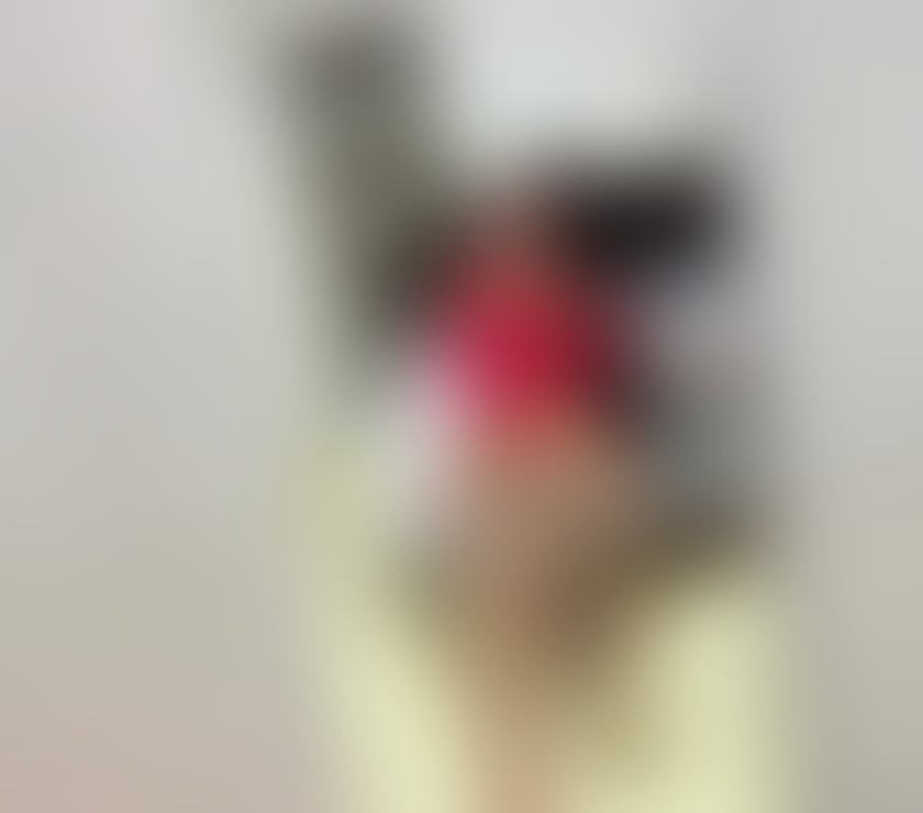 Hello, I'm new in your city.