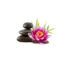 Chequers Centre - Maidstone — Full Body Massage in Maidstone