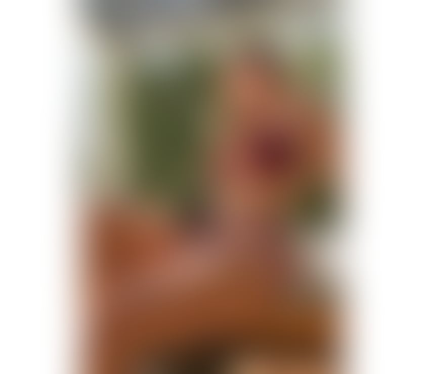 Escorts East London East Ham - East London - Photos for Zoe ✨ Elegant Brazilian Lady – A Real Experience