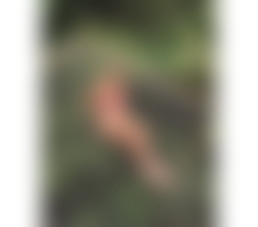 Escorts East London East Ham - East London - Photos for Zoe ✨ Elegant Brazilian Lady – A Real Experience