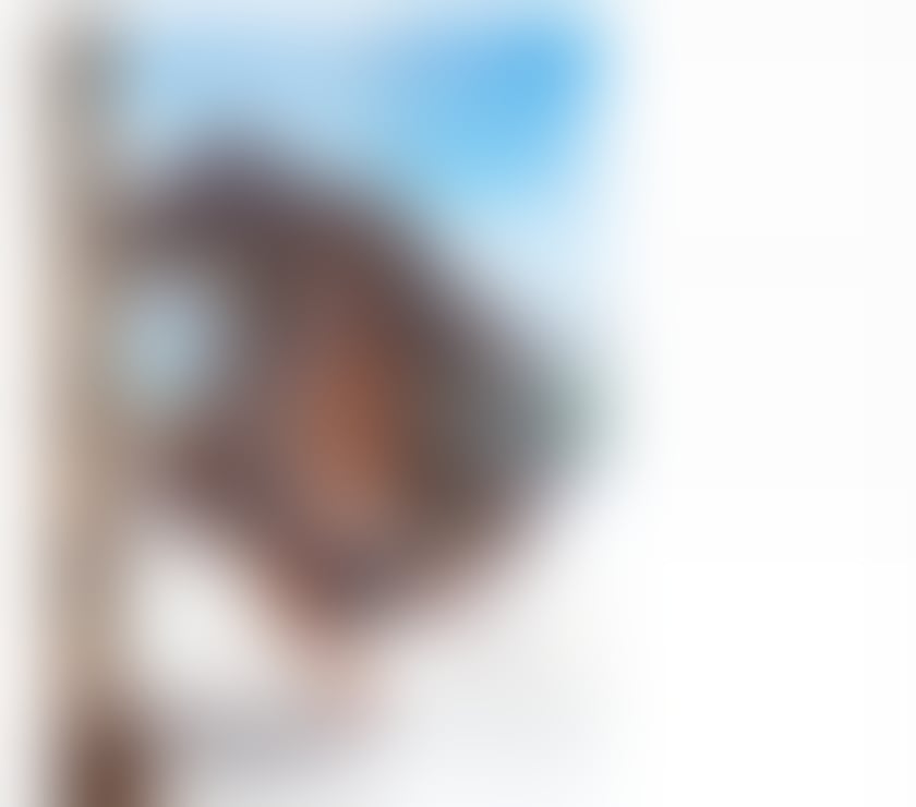 Trans Escorts Devon Plymouth - Photos for 🔥 NEW BRAZILIAN TS LEXA 🔥 NEW IN PLYMOUTH 😈