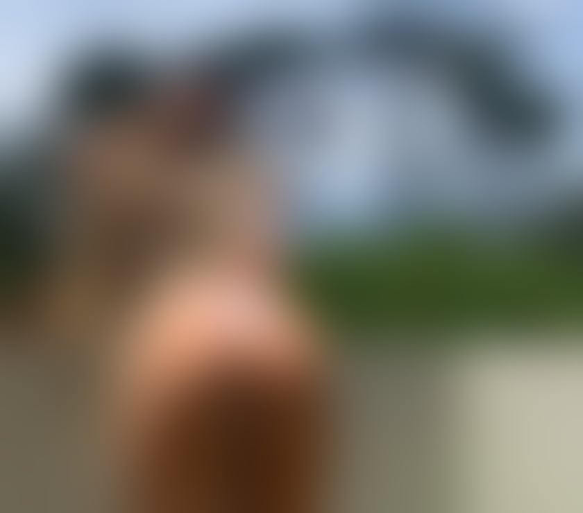 Escorts Aberdeen Aberdeen City Centre - Aberdeen - Photos for Gabi 🇧🇷 New in Town 😈💯% REAL Party Gal 🎊