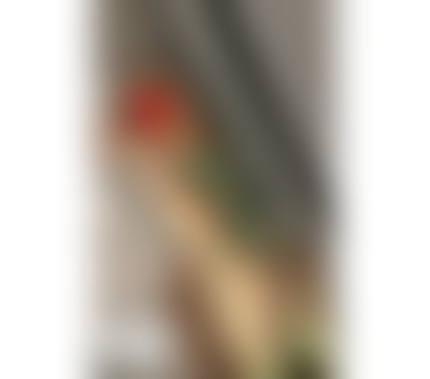 Escorts Nottinghamshire Nottingham - Photos for MIRA NEW PARTY GIRL