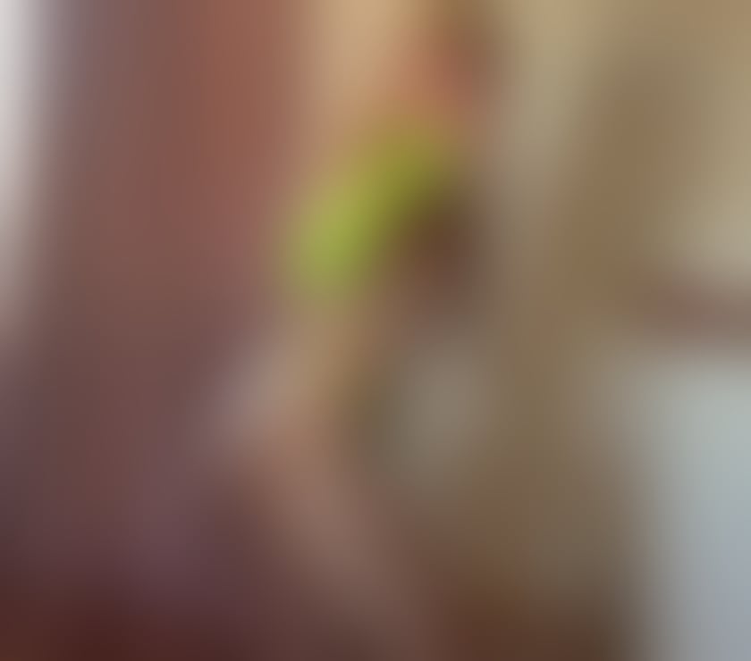 Escorts Hampshire Winchester - Photos for Iriina ❤️ Naughty Girl😈 outcall