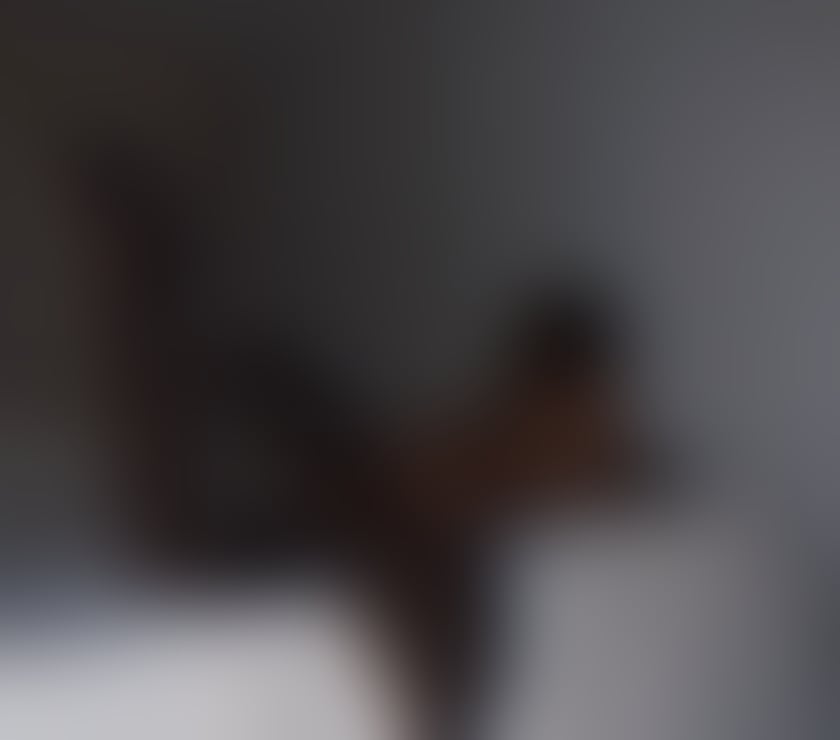 Escorts Reading Reading Town Centre - Reading - Photos for TS Ladyboy Jasmine READING BERKSHIRE now❤️❤️