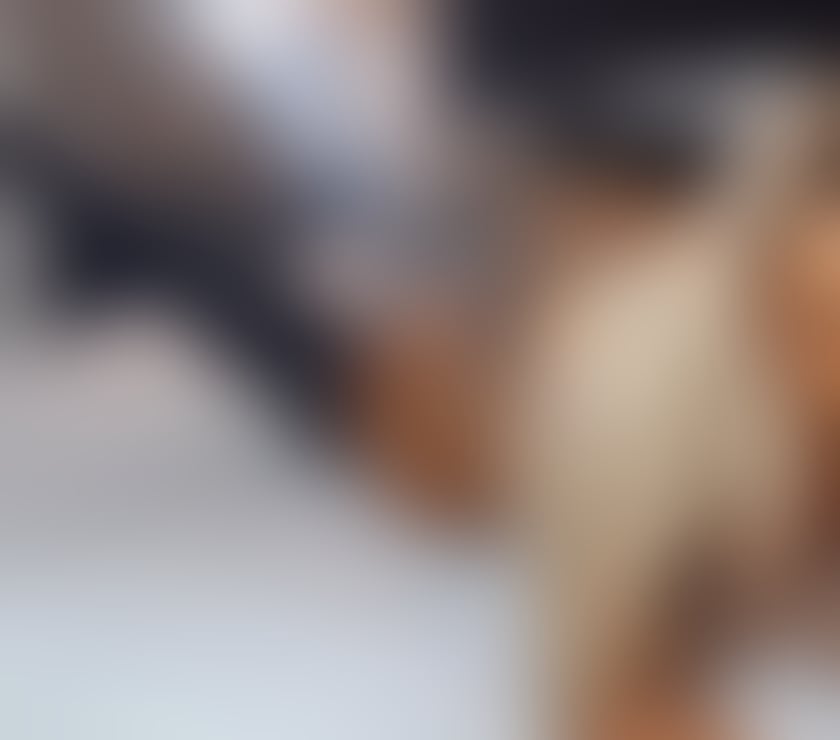 Escorts West Yorkshire Bradford - Photos for ❤️❤️Maia incall & outcall full party❤️