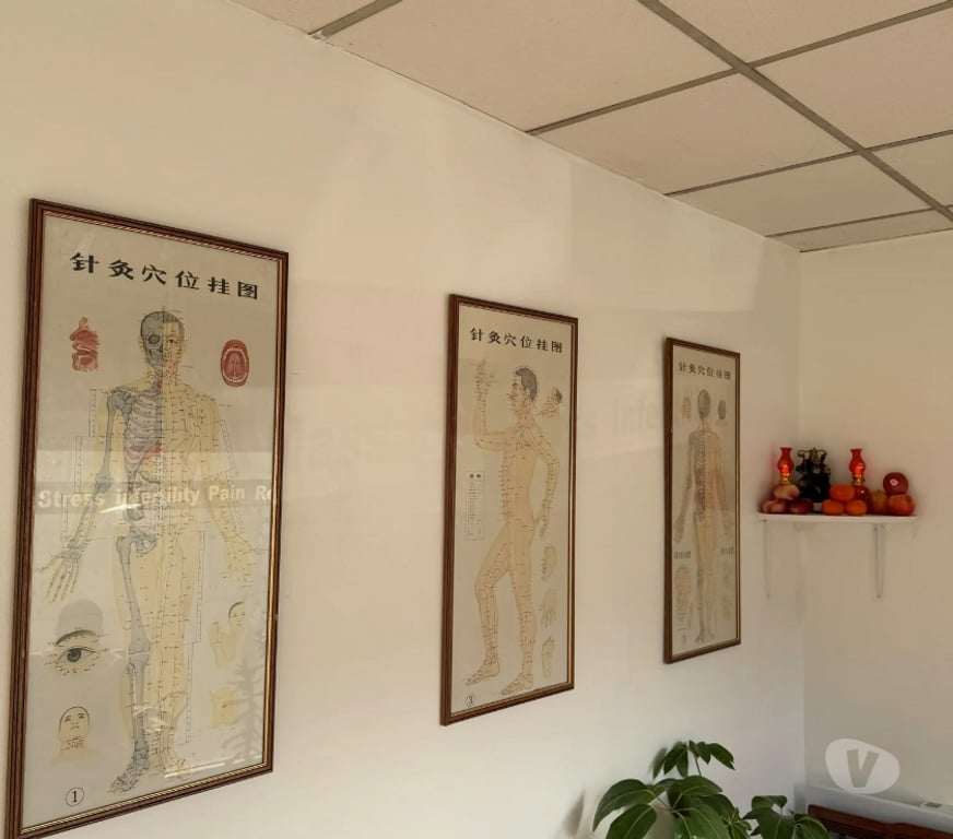 Full body massage North West London Hendon - North West London - Photos for Professional Therapeutic Massage | China Sun Health Centre