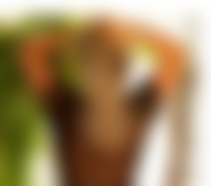 Escorts West London Hounslow - Photos for 💞❤️Isabella Latina Girl💞❤️