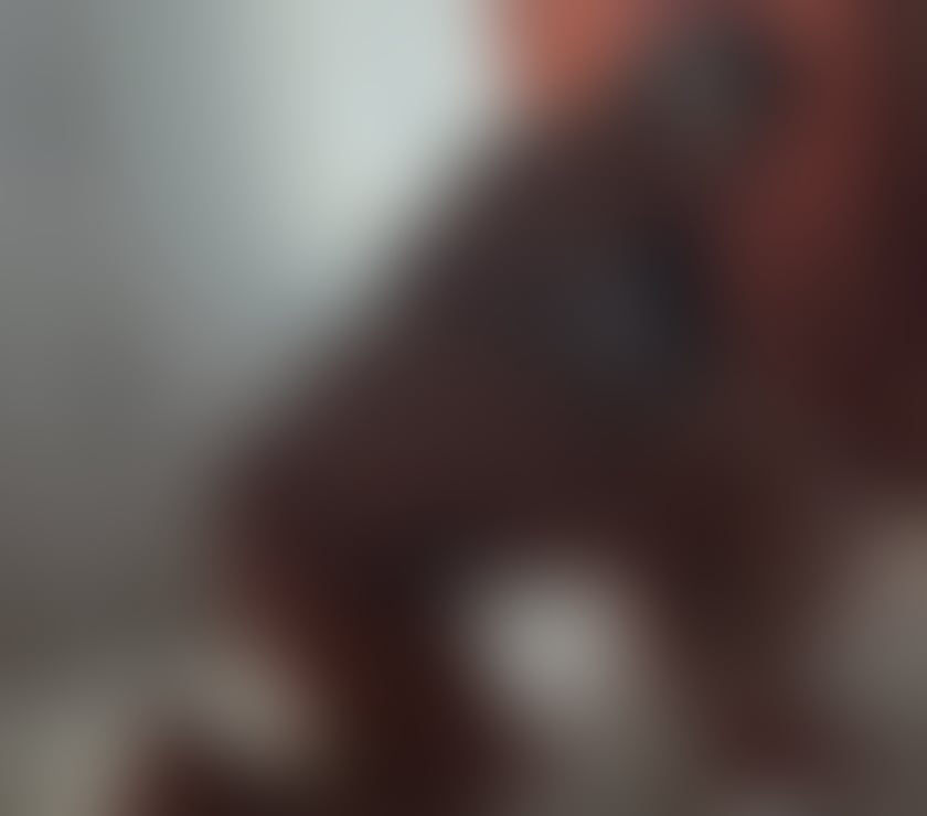 Escorts North Lanarkshire Motherwell - North Lanarkshire - Photos for I'm a new girl in town. I'm 100% real.