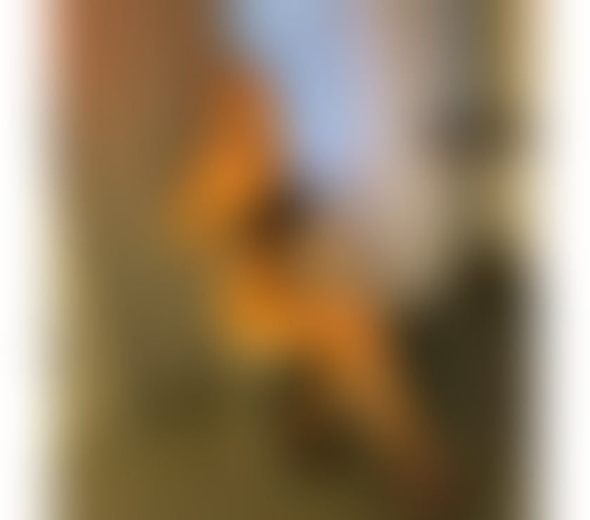 Escorts Vale of Glamorgan - Wales Llantwit Major - Vale of Glamorgan - Photos for New end town Party 🎉 GIRLS