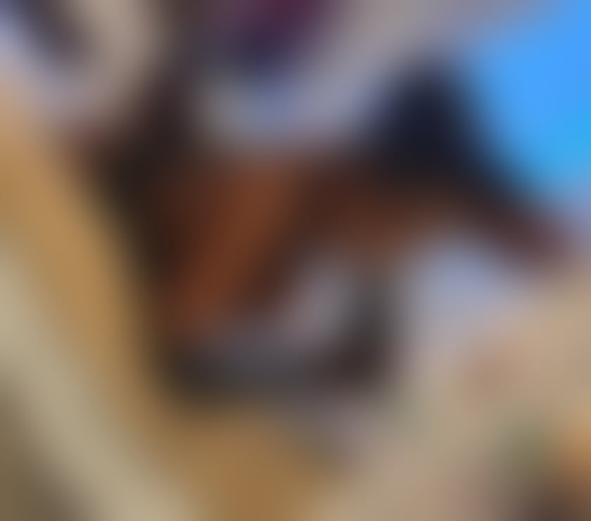 Trans Escorts Slough Slough Town Centre - Slough - Photos for TS MAYA MARQUESA💥NEW IN SLOUGH🦋P@RTY