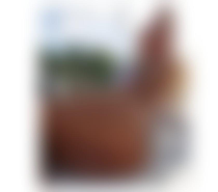 Escorts East London Canning Town - East London - Photos for Gaby Party Girl 🍾🥂🇧🇷 No Rush🍭🔥🔞💦