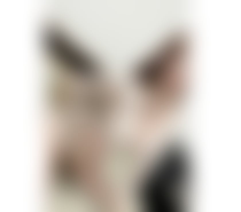 Escorts Kent Medway - Kent - Photos for Hot sexy Thai girl New in town GFE-OWO-B2B 💋