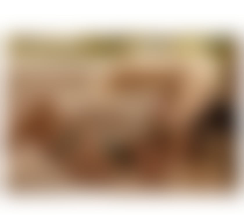 Escorts North West London Harrow - Photos for BIBI 💯% real🇧🇷 party🧚🏼‍♀️