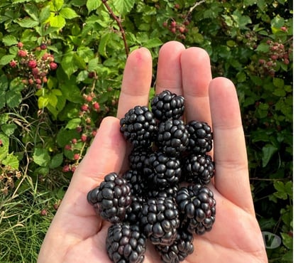 Gay escorts Cambridge City Centre Cambridge - Photos for “Quality Companionship & Memorable Moments”