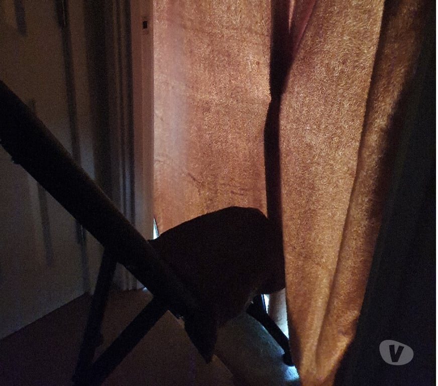 Escorts Edinburgh South Queensferry - Edinburgh - Photos for Discreet Private Gloryhole - South Queensferry, Edinburgh