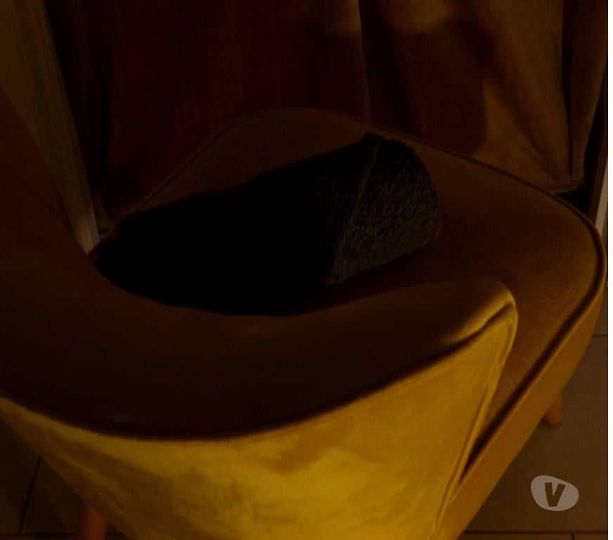 Escorts Edinburgh South Queensferry - Edinburgh - Photos for Discreet Private Gloryhole - South Queensferry, Edinburgh