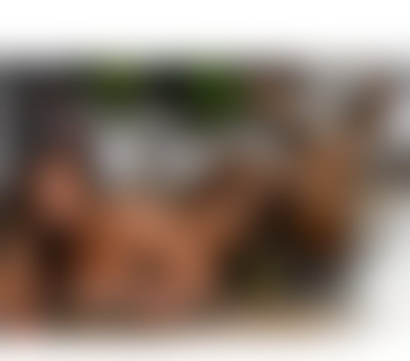 Escorts Nottinghamshire Nottingham - Photos for Jasmim Elegancia y Exclusividad