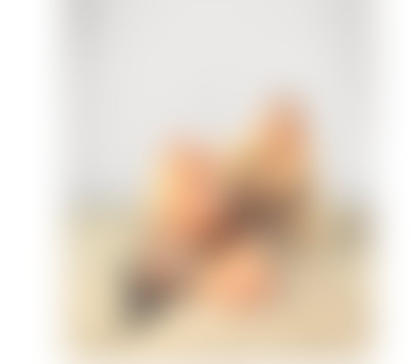 Escorts West Midlands Coventry - Photos for Best GFE🎀⭐️QUEEN OF O.W.O🎀⭐️FULL PARTYYY