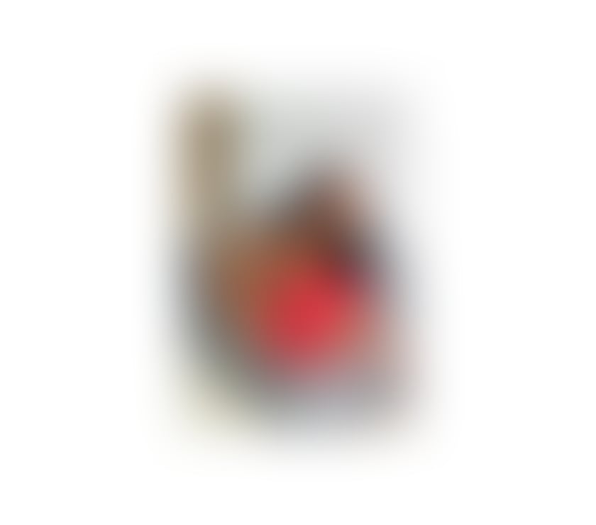 Trans Escorts Edinburgh Edinburgh Old Town - Edinburgh - Photos for Yasmin Brazil Rio de Janeiro Party 🇧🇷