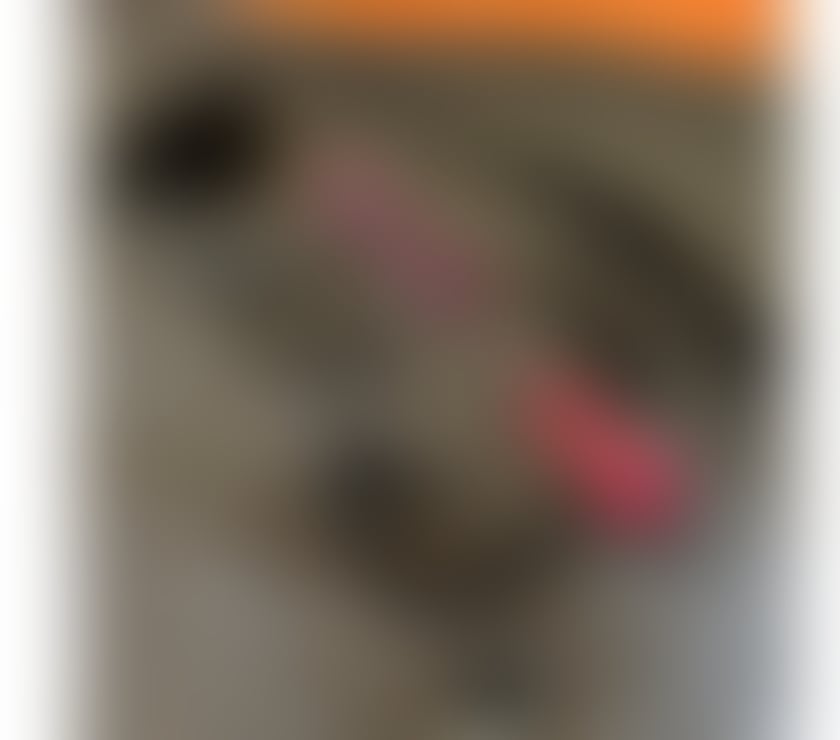 Trans Escorts Gloucestershire Cheltenham - Photos for SEXY BLU💙😋 (1 week)