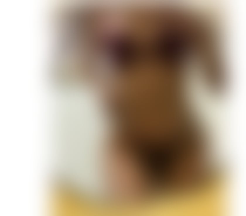 Escorts Oxfordshire Cherwell - Photos for QueenBJ💋party Girl 🌶️Best Service🔥🔥