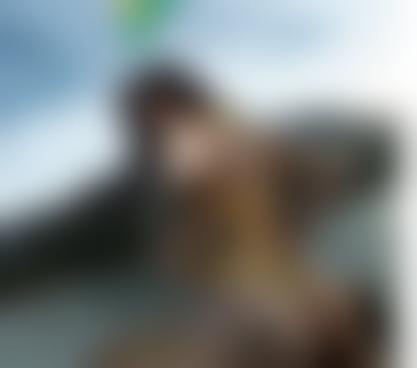 Escorts West Midlands Birmingham - Photos for alicee Braziliaan