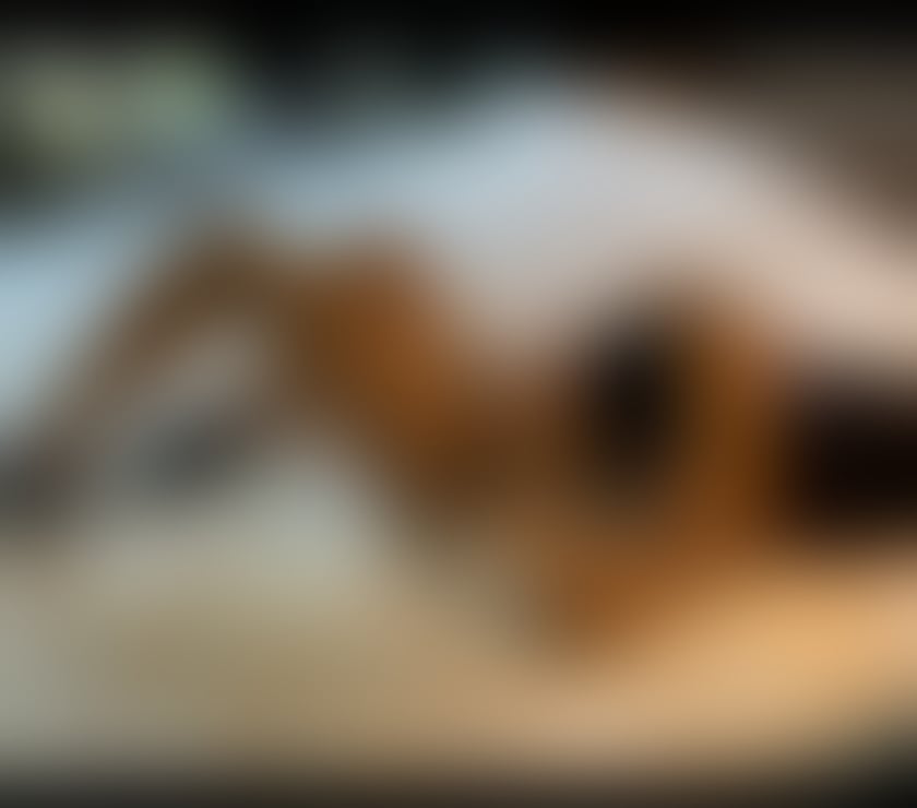 Escorts Buckinghamshire Aylesbury - Buckinghamshire - Photos for Call me for wonderful moments! 💎